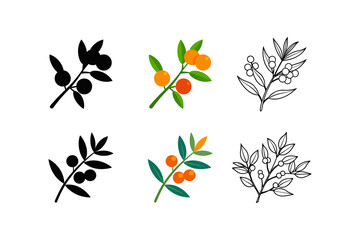 set of sea buckthorn silhouette vector line art illustration