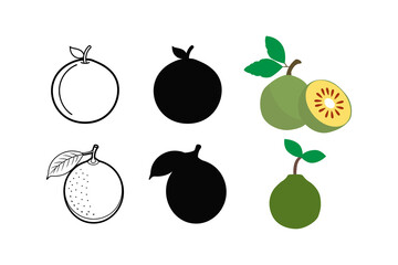 Set of Bael fruits vector illustration silhouette and line art illustration