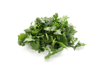 Pile of fresh cilantro sprigs isolated on white