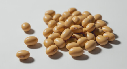 Pile of soybeans on a white surface with soft shadows.