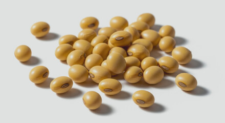 Pile of tan soybeans on a white surface with soft shadows.