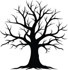 Obraz premium Silhouette of a bare deciduous tree isolated on white background