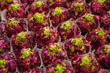 pink flowers in the garden
