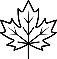 Hand drawn maple leaf icon isolated on white background