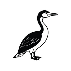 A cormorant line art silhouette vector illustration on white background