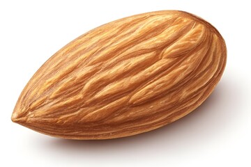 "Detailed Almond Nut on White Background &ndash; Realistic Close-Up Food Photography"