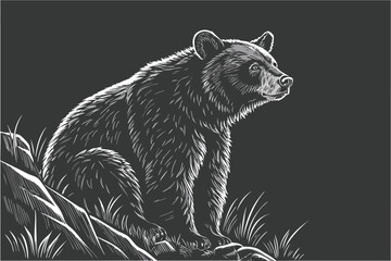 Obraz premium furry black bear, sitting, hyper realistic, highly detailed, 8k, cinematic lighting, dramatic pose, wildlife photography, dark background