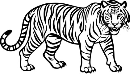 Obraz premium A striking vector illustration of a white tiger, a wild striped animal from the zoo, isolated on a black background