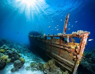 Vitrage gordijnen sunlight streams through clear blue water onto a sunken wooden shipwreck covered in coral and fish © Chloe