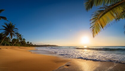 tropical beach with palm trees under clear blue sky during sunset overlooking tranquil ocean waves