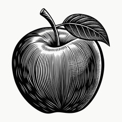 Vintage engraving style black and white apple with leaf and stem on white background
