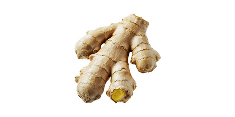 Fresh Ginger Root. Culinary Ingredient And Herbal Remedy For Health Benefits Isolated On Transparent Background