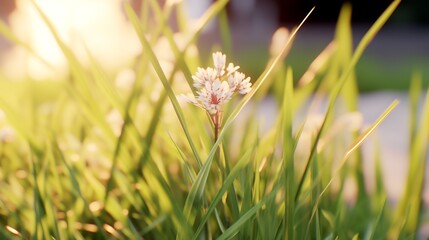 Machine learning optimized prairie where every grass blade angle maximizes photosynthesis efficiency, creating wave patterns that follow the sun's path