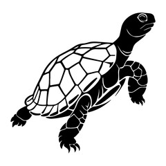 Stylized Turtle or Tortoise Animal Vector Illustration
