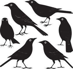 Obraz premium Bird Silhouette Vector Elegant Flying Bird Shape for Logo, Tattoo, and Print Design