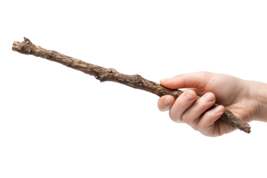 Hand holding a stick object photography studio. Isolated on transparent background, png.