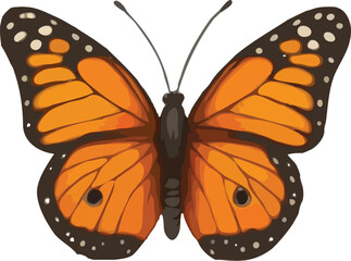 Colorful butterfly