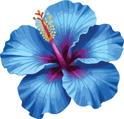 Hibiscus flower © shashi