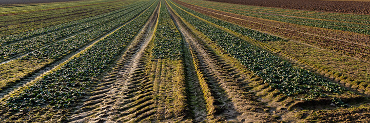 Landschaft Bietigheim-Bissingen