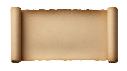Torn blank paper sheet with a rolled edge, isolated on a transparent background in PNG format.