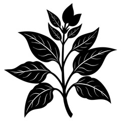 Create a soothing and aromatic botanical flower blend using natural dried flowers. Focus on color harmony, fragrance layering, and potential wellness benefits