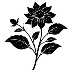 Create a soothing and aromatic botanical flower blend using natural dried flowers. Focus on color harmony, fragrance layering, and potential wellness benefits