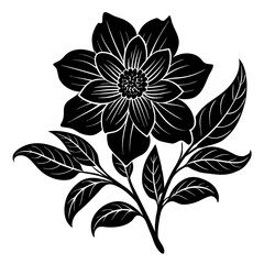 Create a soothing and aromatic botanical flower blend using natural dried flowers. Focus on color harmony, fragrance layering, and potential wellness benefits