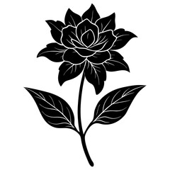 Create a soothing and aromatic botanical flower blend using natural dried flowers. Focus on color harmony, fragrance layering, and potential wellness benefits