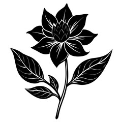 Create a soothing and aromatic botanical flower blend using natural dried flowers. Focus on color harmony, fragrance layering, and potential wellness benefits