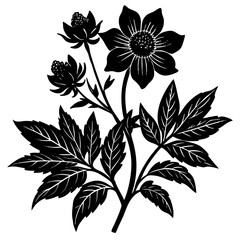 Create a soothing and aromatic botanical flower blend using natural dried flowers. Focus on color harmony, fragrance layering, and potential wellness benefits