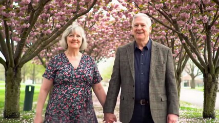 Elderly couple walking in a cherry blossom tree tunnel - Powered by Adobe