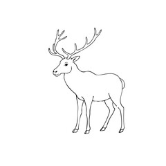 Caribou simple line sketch of a standing deer with antlers  