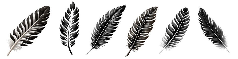 Elegant, monochrome feathers drift across a stark white background, bird feather set