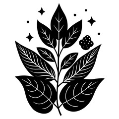 Design a natural botanical blend using herbs, flowers, and plant elements for a specific purpose such as wellness, aroma, or skincare. Focus on harmony, scent, and benefits