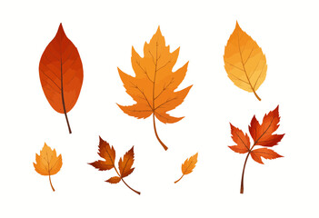 Naklejka premium Collection of autumn leaves in various shapes and sizes 
