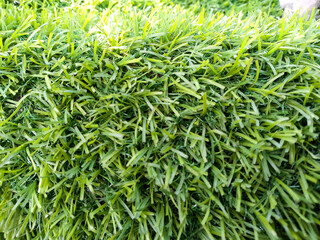 Close-Up of Artificial Grass Blades in Dense, Uniform Arrangement