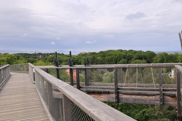 Obraz premium Blick auf den Baumwipfelpfad von Heringsdorf auf der Ostseeinsel Usedom