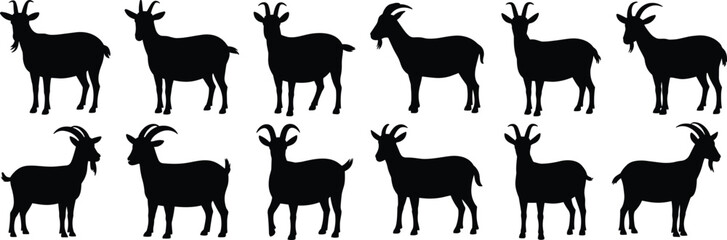 Goat silhouettes in diverse standing poses, farm livestock vector illustration for nature, animal agriculture, rural farming content, graphic design
