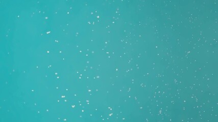 Delicate snowflakes fall against a cool blue background in winter - Powered by Adobe
