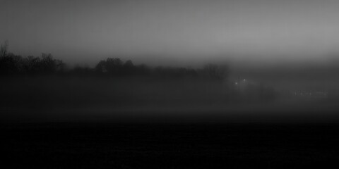 Obraz premium The monochrome landscape shows a foggy scene with trees and lights in the distance.
