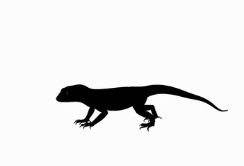 Lizard silhouette walking on a blank background  