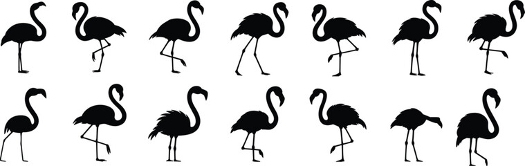 Set of flamingo silhouettes in multiple elegant poses, tropical bird vector illustration, wildlife, nature, graceful design for stock image