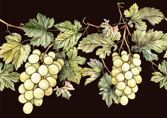 Seamless vector pattern with ripe grape bunches, leaves, and vines. Hand-drawn watercolor style. Ideal for wine labels, textiles, wallpapers, and packaging. Elegant, botanical, and vintage-inspired.