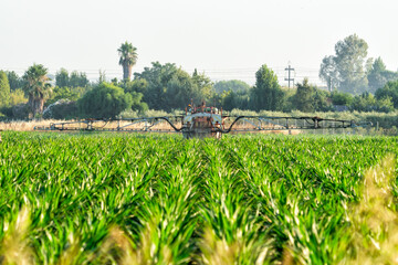 Tractor Spraying Vegetables in Las Vegas Bajas del Guadiana, Extremadura, Spain
