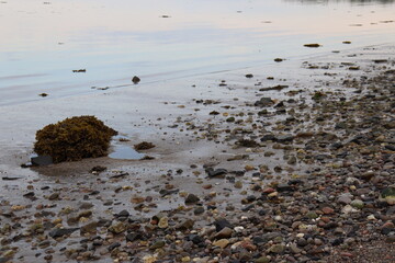 Beach and rocks and low tide in summer. Zen atmosphere and beach.