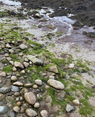stream at low tide