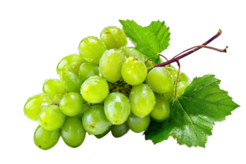Fresh green grapes harvest farm market food photography nature. Isolated on transparent background, png.