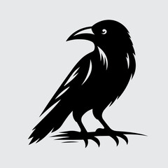 Fototapeta premium crow on a white background
