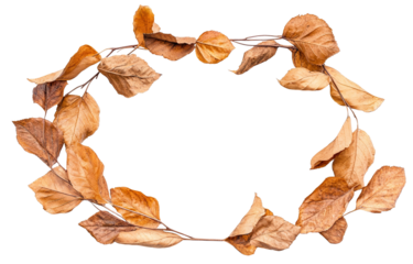 Oval frame made of dried brown leaves, isolated on transparent cutout background
