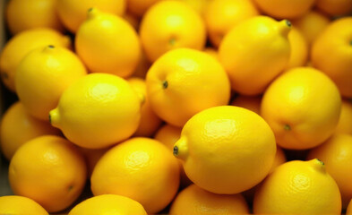 citrus lemons background